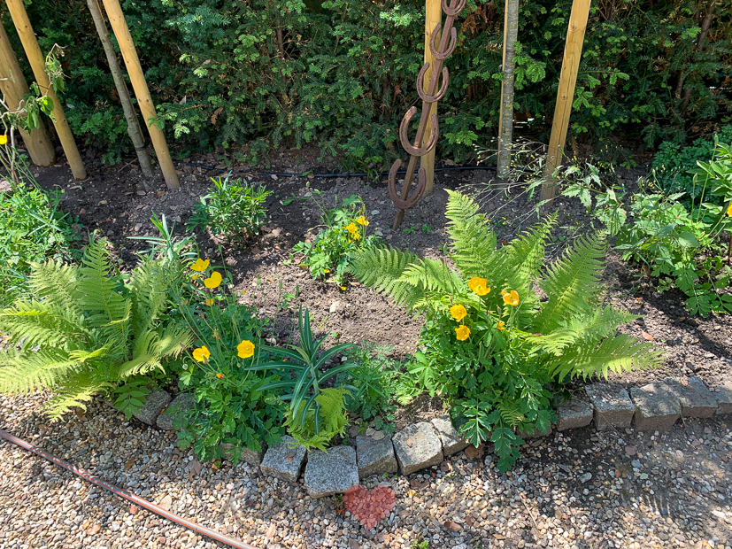 Een kijkje in de keuken week 26-2021