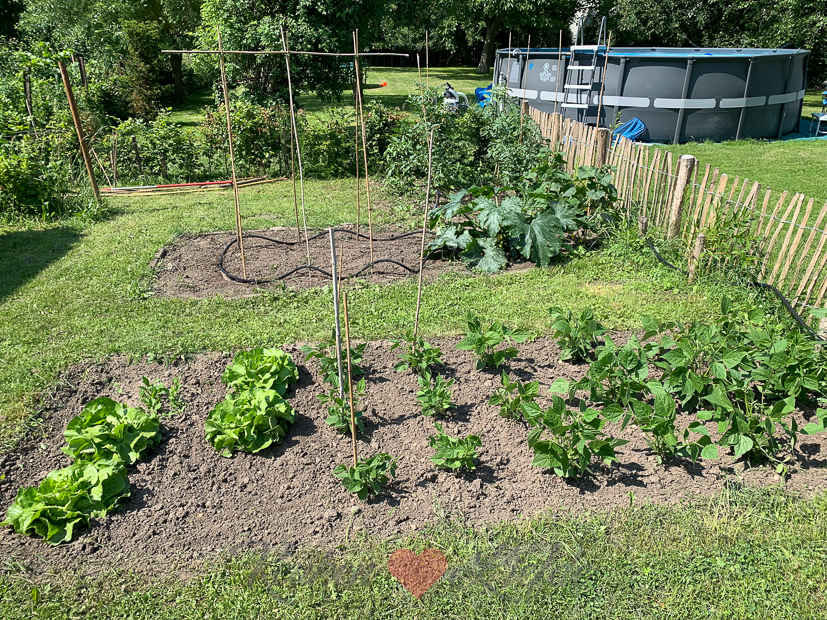 Een kijkje in de keuken week 26-2021