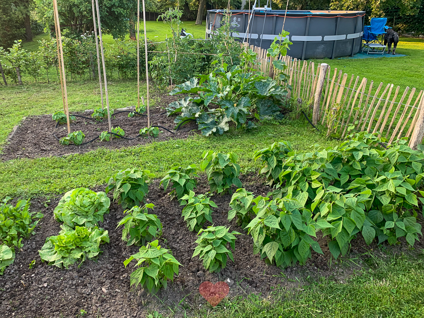 Een kijkje in de keuken week 28-2021