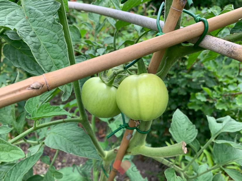 Een kijkje in de keuken week 28-2021