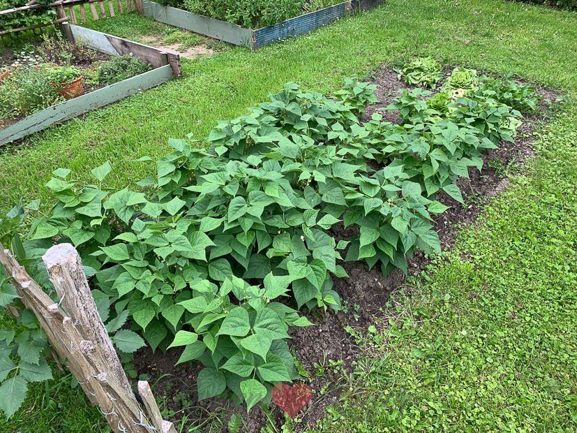 Een kijkje in de keuken week 28-2021