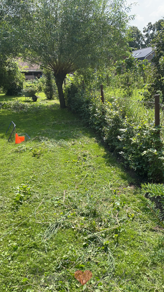 Een kijkje in de keuken week 32-2021