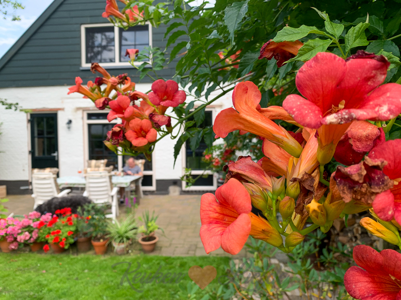 Een kijkje in de keuken week 32-2021