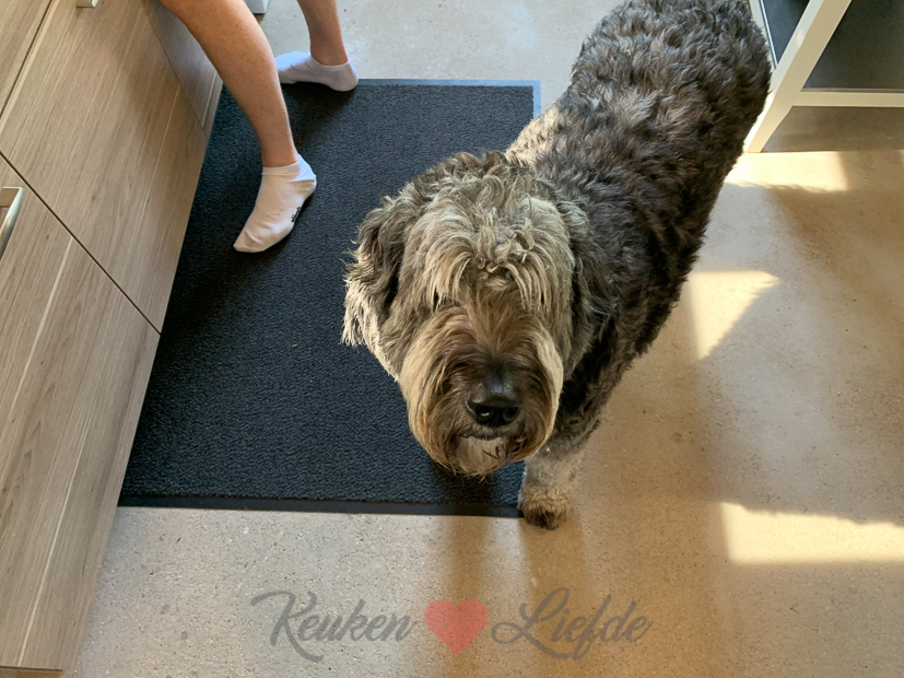 Een kijkje in de keuken week 32-2021