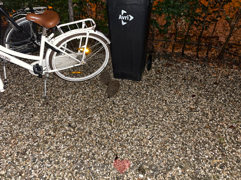 Een kijkje in de keuken week 32-2021