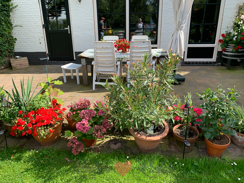 Een kijkje in de keuken week 33-2021