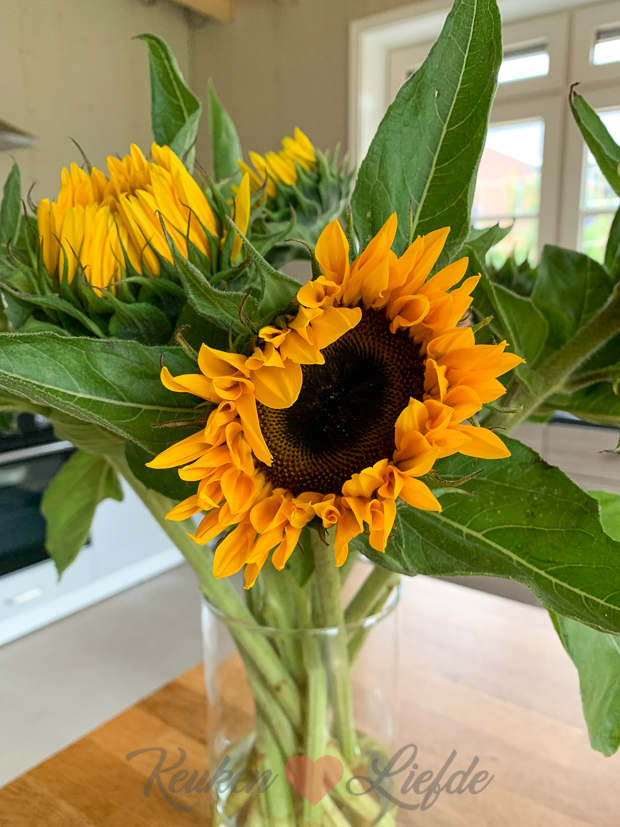 Een kijkje in de keuken week 33-2021