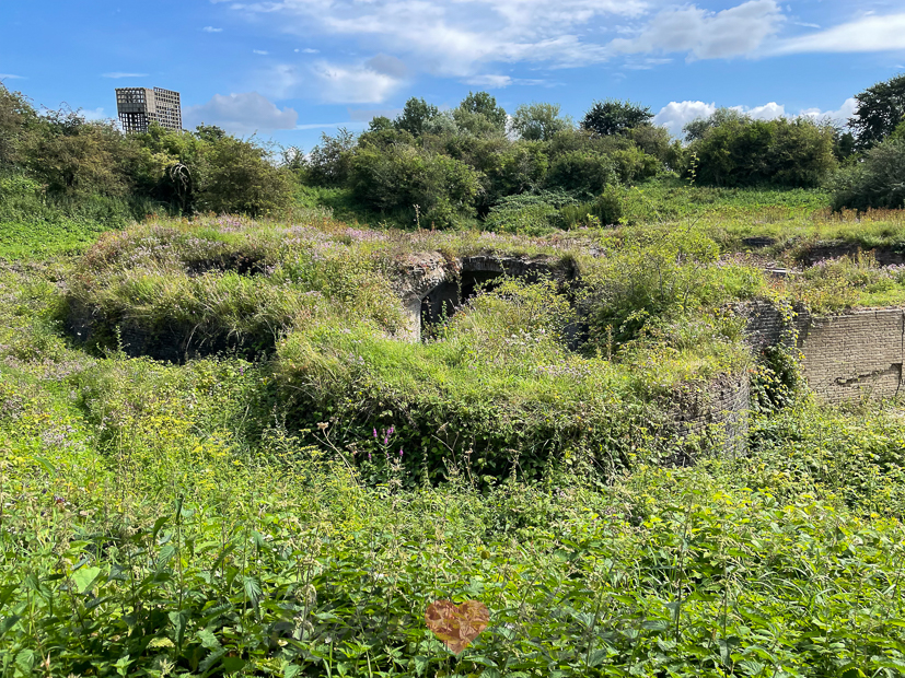 Een kijkje in de keuken week 33-2021