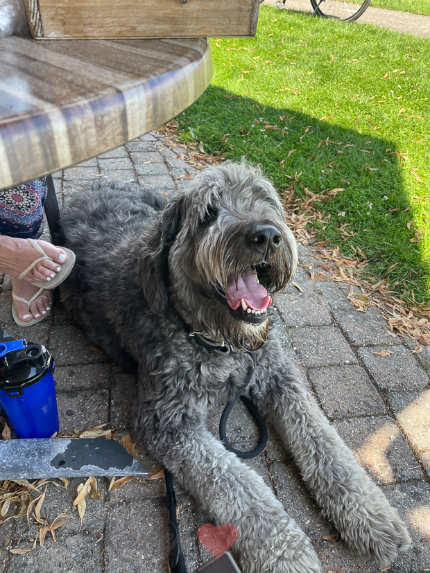 Een kijkje in de keuken week 33-2021