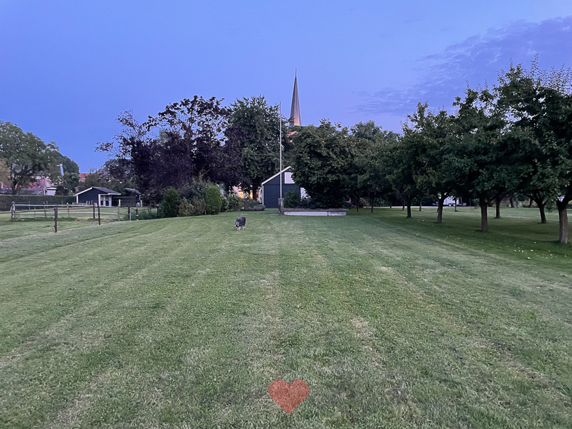 Een kijkje in de keuken week 33-2021