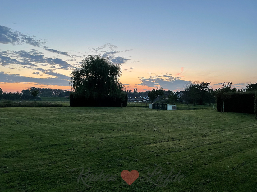 Een kijkje in de keuken week 33-2021