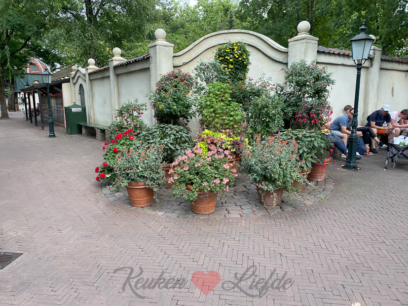 Een kijkje in de keuken week 33-2021