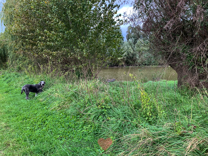 Een kijkje in de keuken week 41-2021