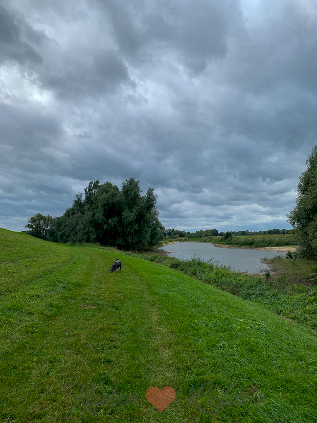 Een kijkje in de keuken week 41-2021