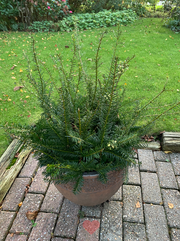 Een kijkje in de keuken week 41-2021