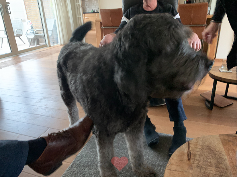 Een kijkje in de keuken week 1-2022