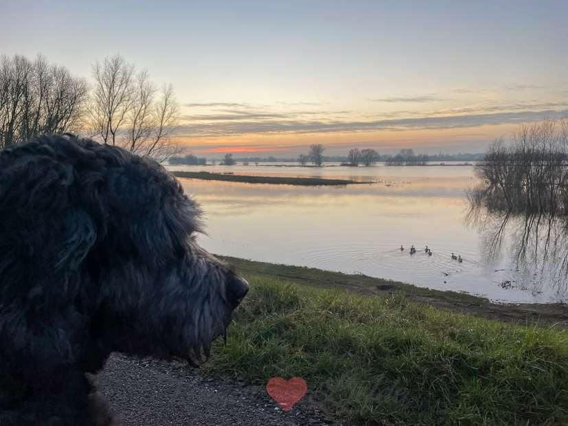 Een kijkje in de keuken week 2-2022