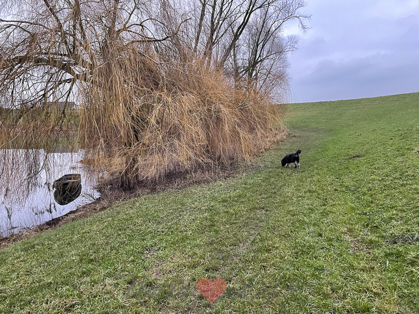 Een kijkje in de keuken week 4-2022