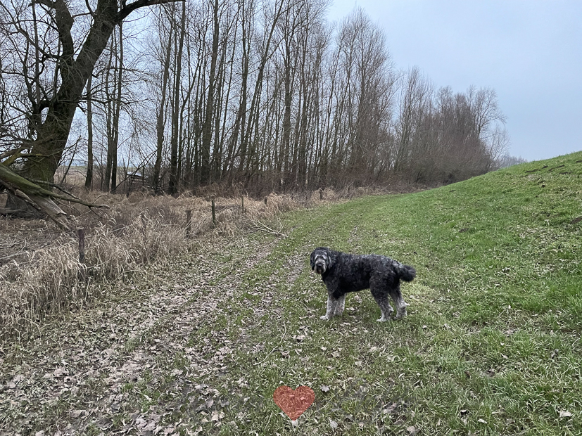 Een kijkje in de keuken week 5-2022