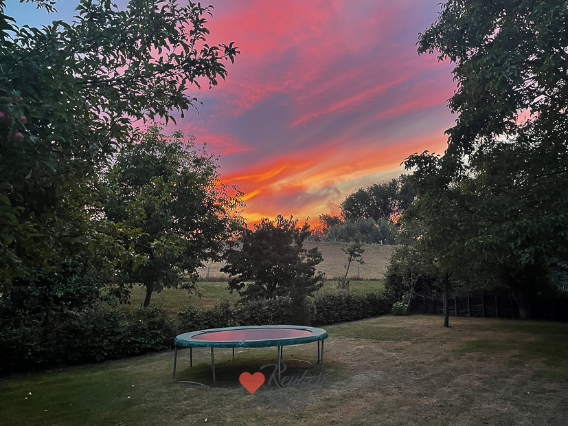 Een kijkje in de keuken week 33-2022