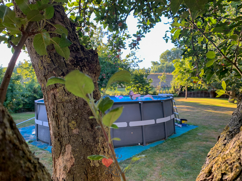 Een kijkje in de keuken week 33-2022