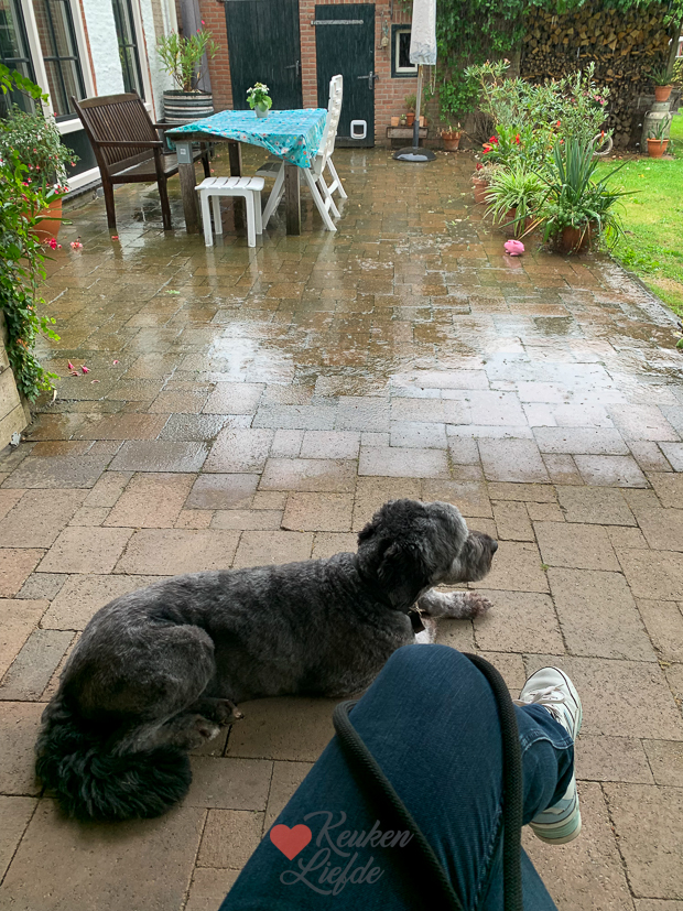 Een kijkje in de keuken week 37-2022