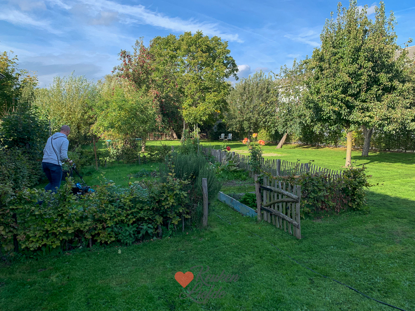 Een kijkje in de keuken week 41-2022