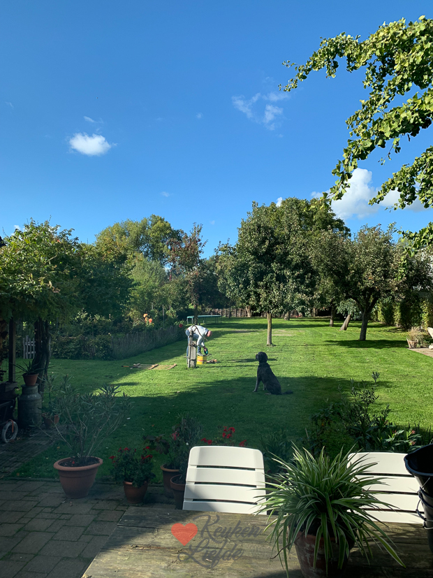 Een kijkje in de keuken week 41-2022