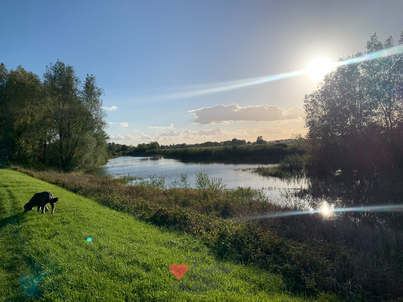 Een kijkje in de keuken week 41-2022
