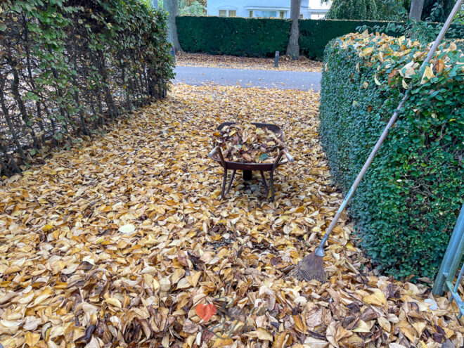 Een kijkje in de keuken week 43-2022