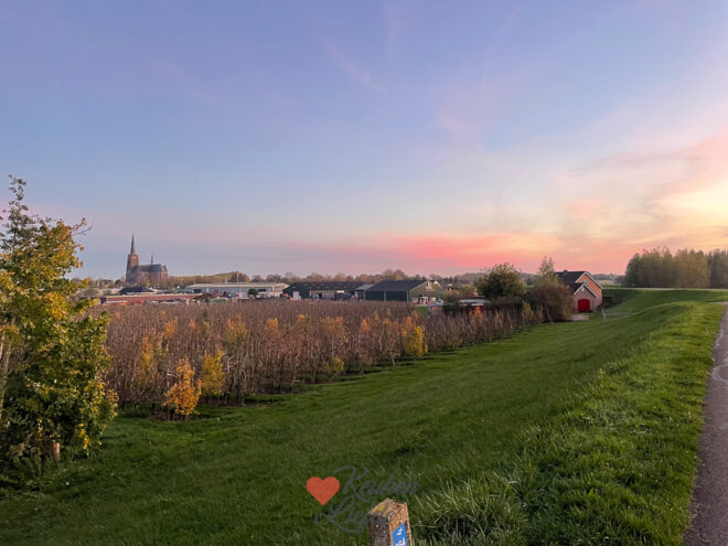 Een kijkje in de keuken week 46-2022