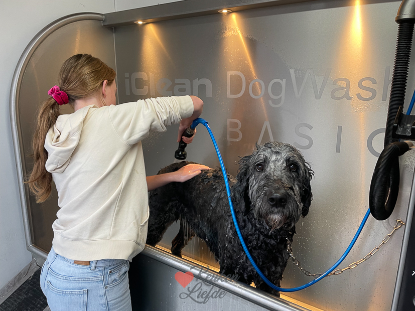 Een kijkje in de keuken week 46-2022