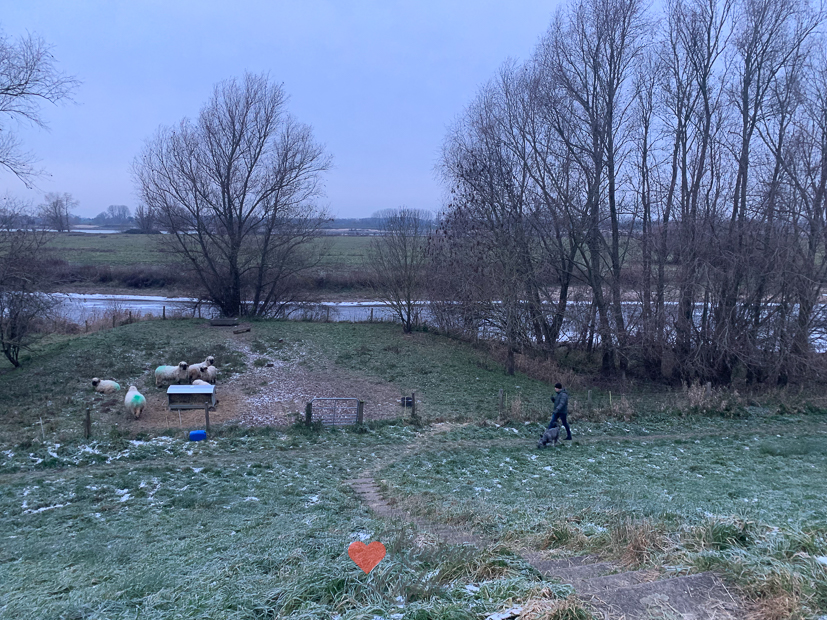 Een kijkje in de keuken week 51-2022