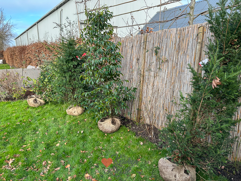 Een kijkje in de keuken week 6-2023