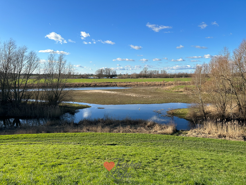 Een kijkje in de keuken week 9-2023