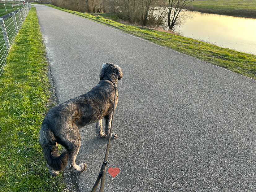 Een kijkje in de keuken week 12-2023