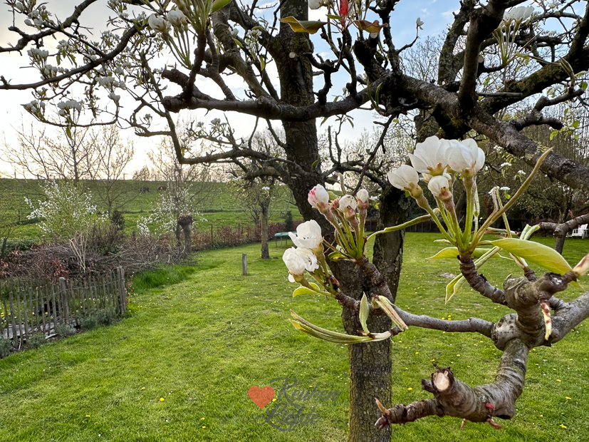 Een kijkje in de keuken week 17-2023