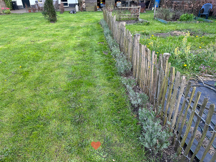 Een kijkje in de keuken week 17-2023