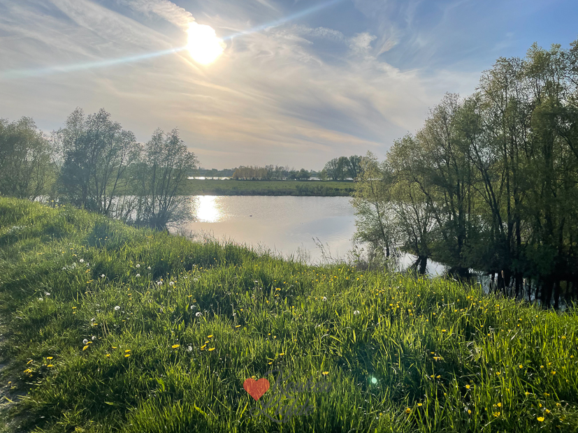 Een kijkje in de keuken week 19-2023
