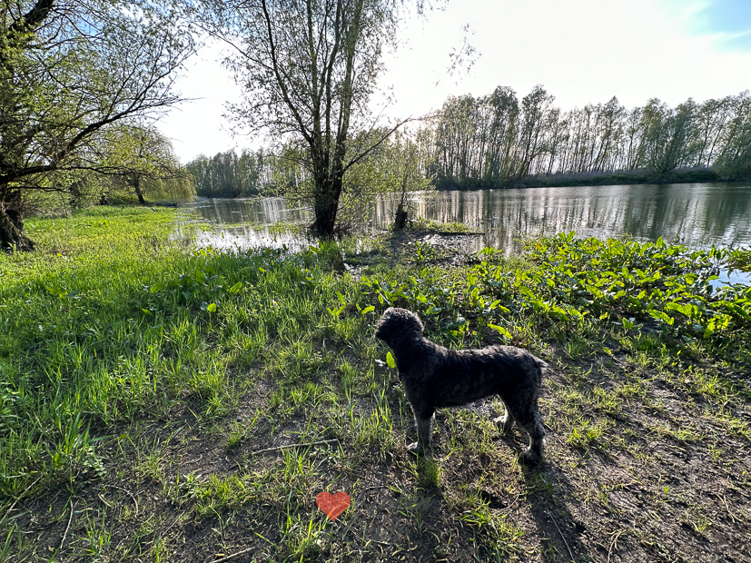 Een kijkje in de keuken week 19-2023