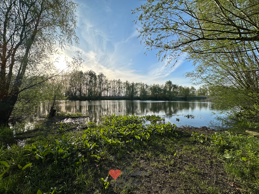 Een kijkje in de keuken week 19-2023