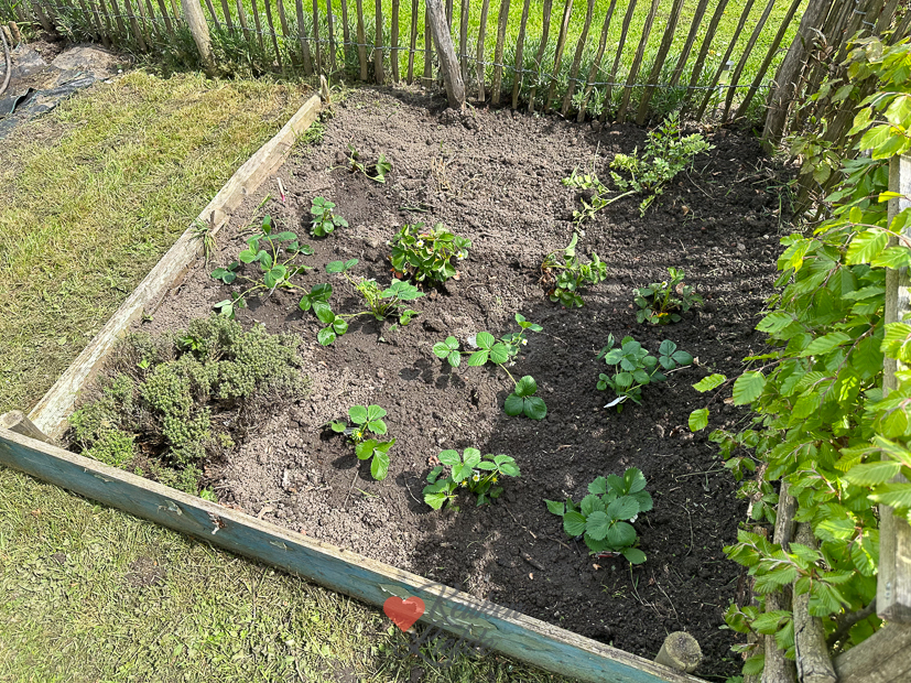 Een kijkje in de keuken week 19-2023