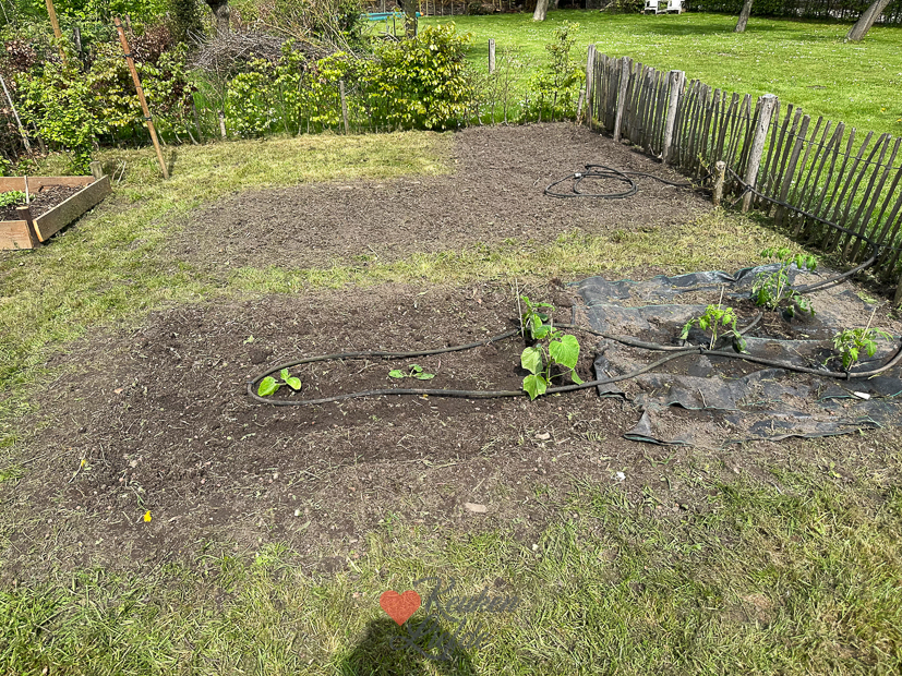 Een kijkje in de keuken week 19-2023