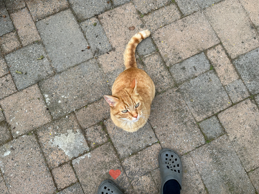 Een kijkje in de keuken week 19-2023