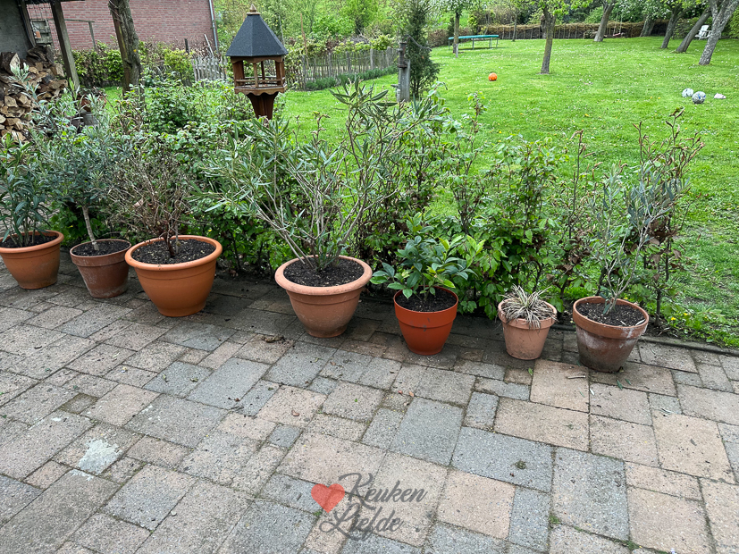 Een kijkje in de keuken week 19-2023