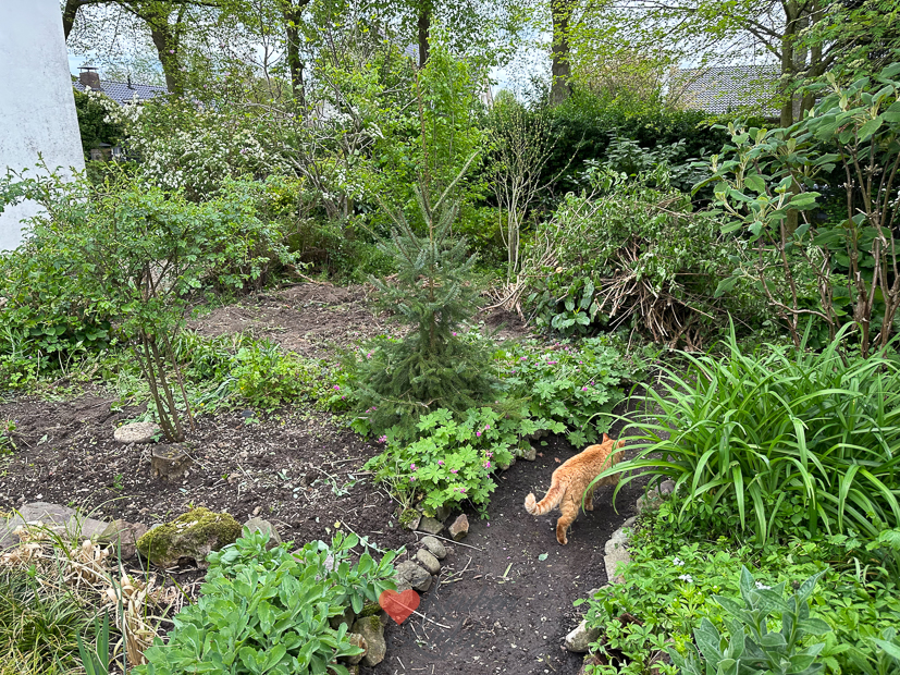 Een kijkje in de keuken week 19-2023