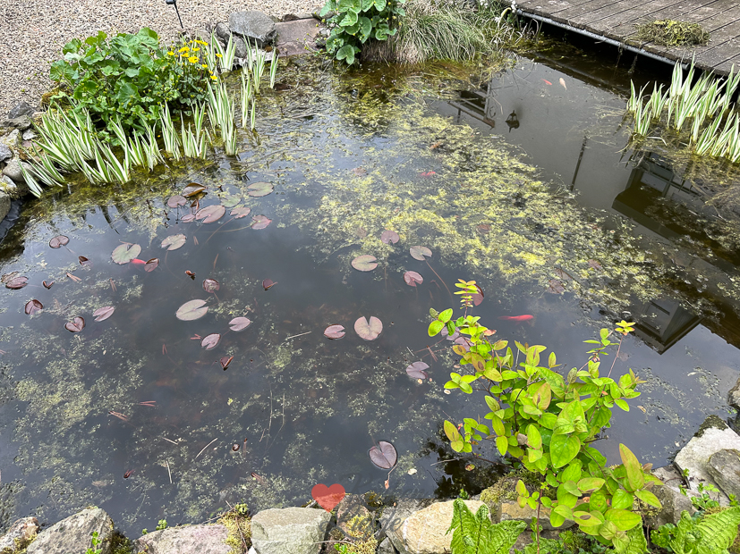 Een kijkje in de keuken week 19-2023