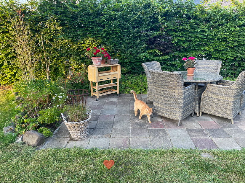 Een kijkje in de keuken week 24-2023