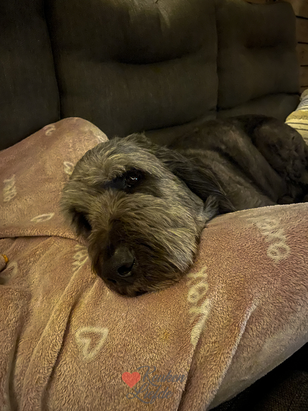 Een kijkje in de keuken week 24-2023