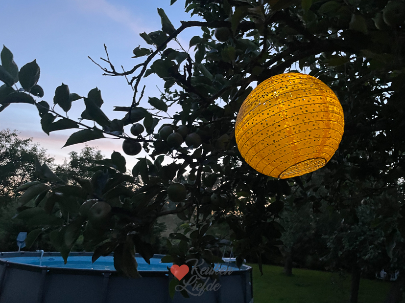 Een kijkje in de keuken week 28-2023